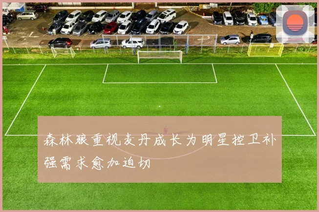 森林狼重视麦丹成长为明星控卫补强需求愈加迫切